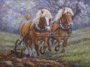 The Worm Forgives the Plough