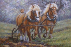 The Worm Forgives the Plough