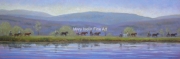 Alysons Orchard Granite State Minis