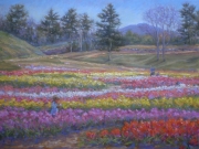 Tulips at Wolf Pine Hollow