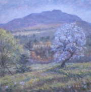Little Old Apple Tree