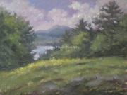 Unsettled Weather near the Lake