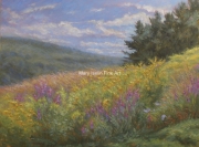 Wildflowers and Winds