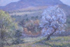 Little Old Apple Tree