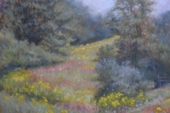 Road-to-the-Young-Orchard