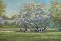 Spring Pasture