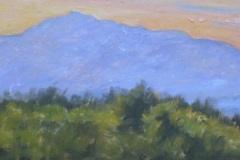 Sunset from Cathedral of the Pines