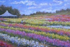 Tulip Festival