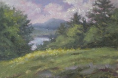Unsettled Weather near the Lake
