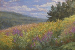 Wildflowers and Winds