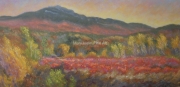 After the Frost, Monadnock Berries #1