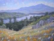 From Garnet Rock