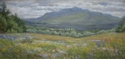 From Holt Road