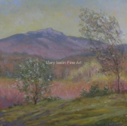 Mondanock in Springtime