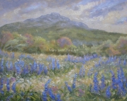 Pilgrimage 2023 Five