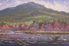 Like Feathers of Angels