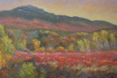 After the Frost, Monadnock Berries #1