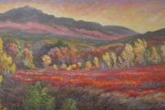 After the Frost Monadnock Berries