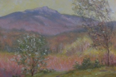 Mondanock in Springtime