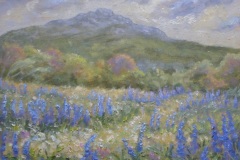 Pilgrimage 2023 Five