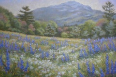 Pilgrimage 2023 Four