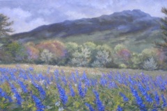 Pilgrimage 2023 Three