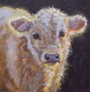 Bully Little Beefalo