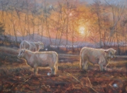 December Evening in the Cow Yard