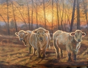 Home