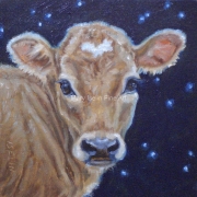 Little Jersey with Stars