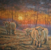 Sunset at the Coward