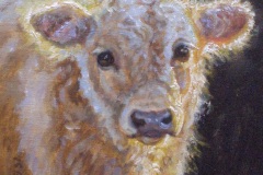 Bully Little Beefalo