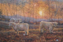 December Evening in the Cow Yard