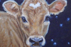 Little Jersey with Stars