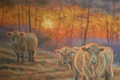 Sunset at the Coward