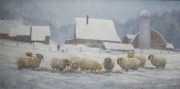 Evening Hay