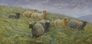 Grasses and Winds