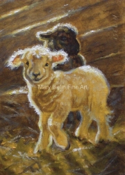 Lorelli and Lily