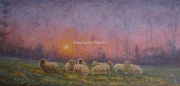 Magic Moment (Sheep)