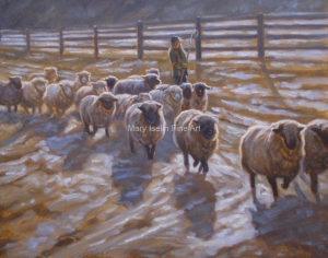 Sheep Shadows16x20-Oil-on-Linen-2200-Mary-Iselin