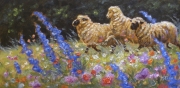 Sheep and Blossoms Again #3