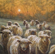 Sheep at Sunset