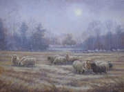 Snow Sun Georges New Field