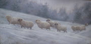 The Long March Trekking