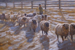 Sheep Shadows16x20-Oil-on-Linen-2200-Mary-Iselin